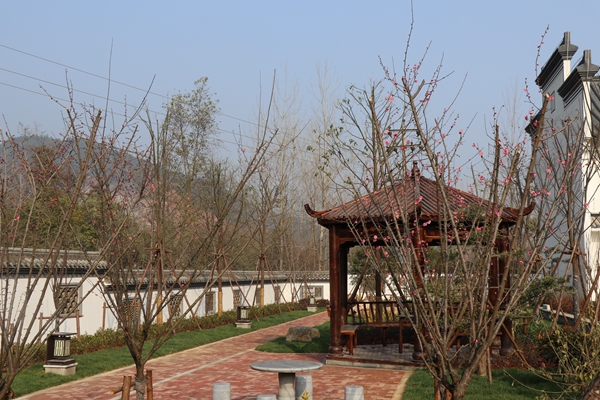 1585729945617181.jpg 海創(chuàng)春園.JPG