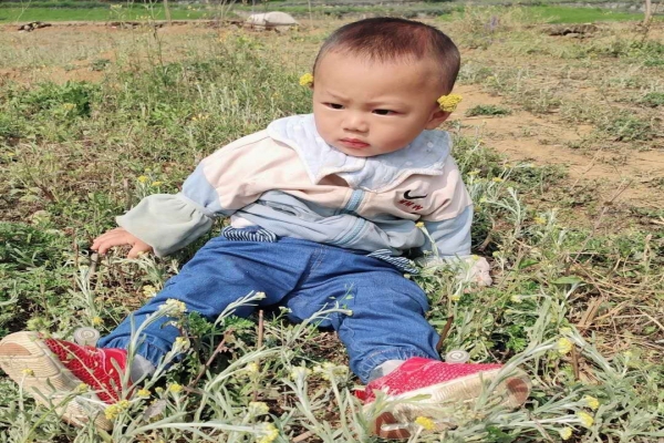 1587264468341025.jpg 2.jpg