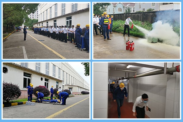 1593502614897595.jpg 2.jpg