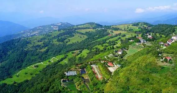 1600745596185673.png 圖片4.png