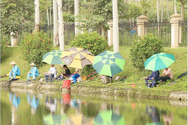 1601276203326425.png 7.png