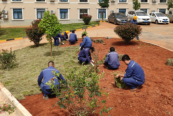 1602215621302543.jpg ba352e699d77d327c3159fb18b2de9c.jpg