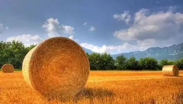 1602468627759811.png 圖片 3.png