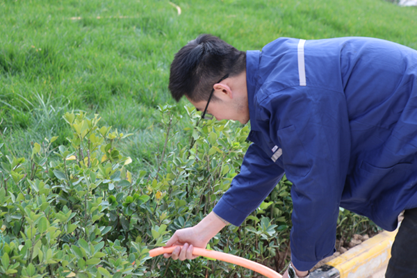 1604039108125555.png 圖片 3.png