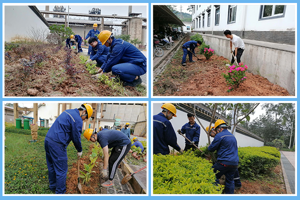 1604126039477059.jpg 1.jpg