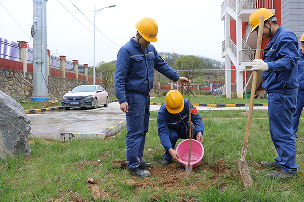 1616392332507266.jpg IMG_7764.JPG