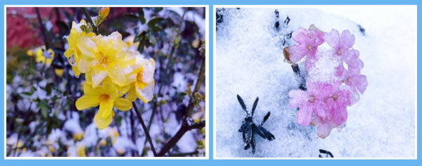 1645780478513545.png 圖片2.png