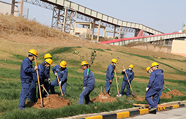 1647344572158862.jpg 2.jpg