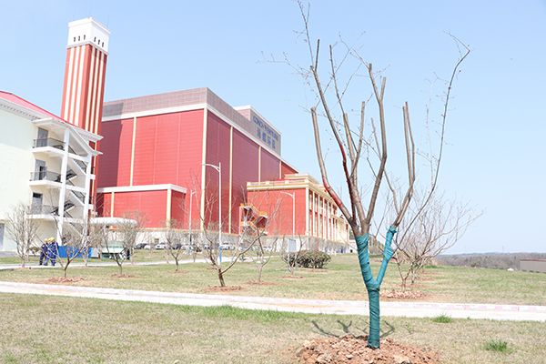 1647344843571159.jpg IMG_5731.JPG